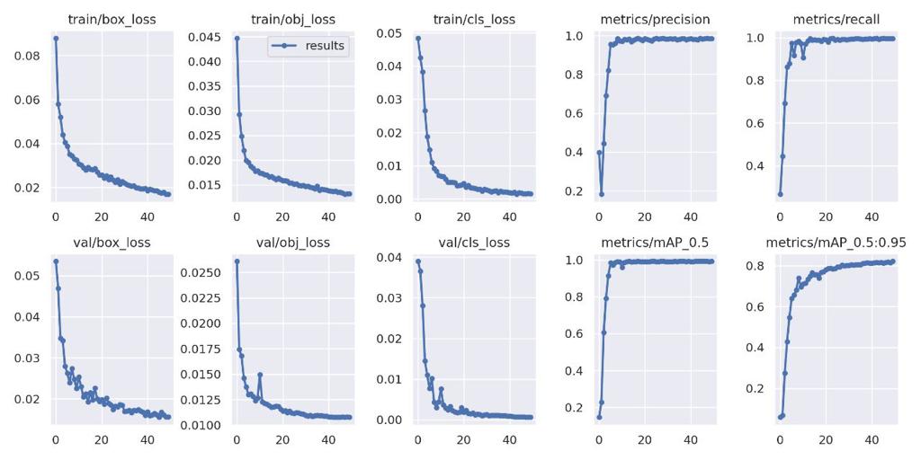 loss_curves